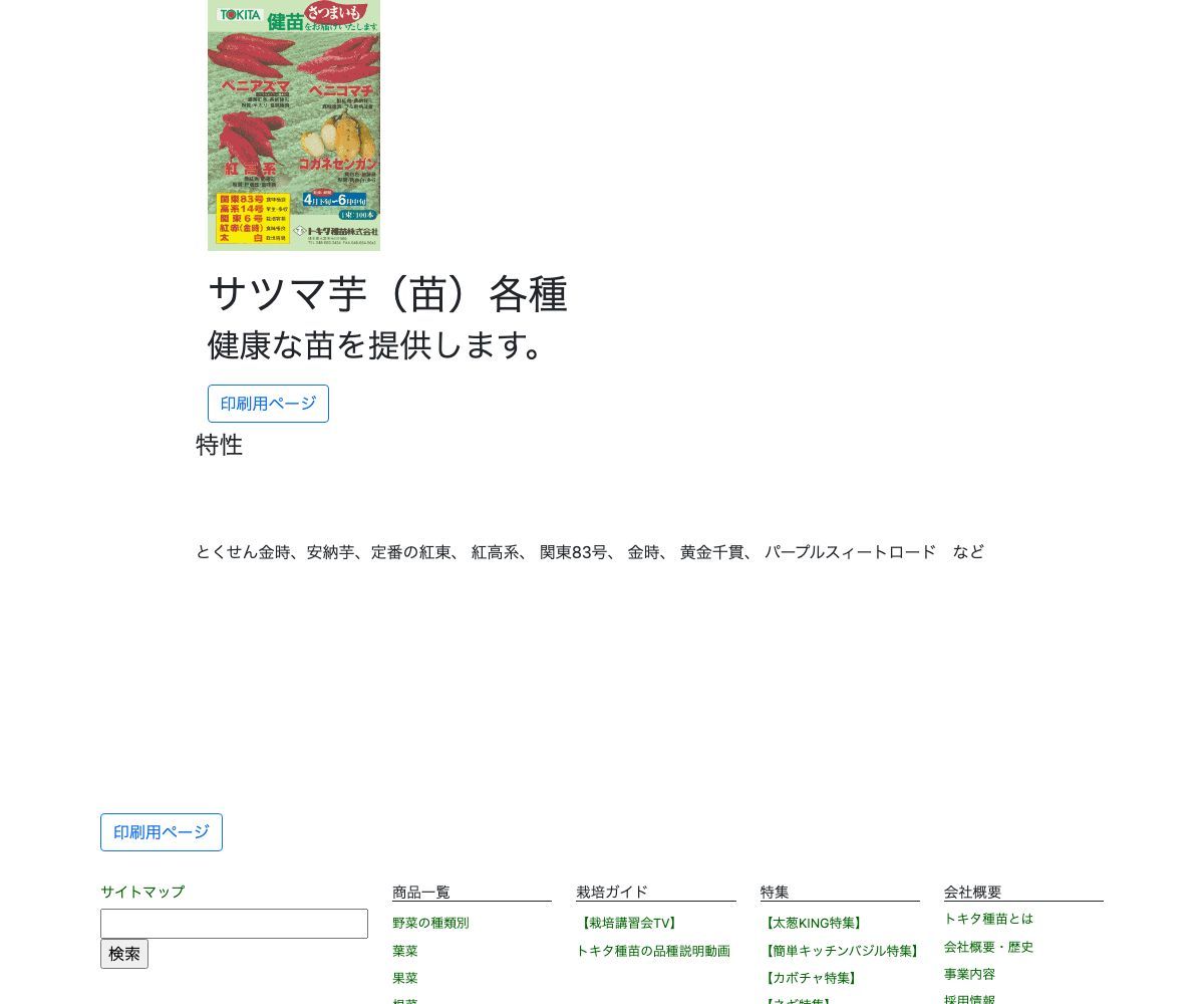 サツマ芋（苗）各種