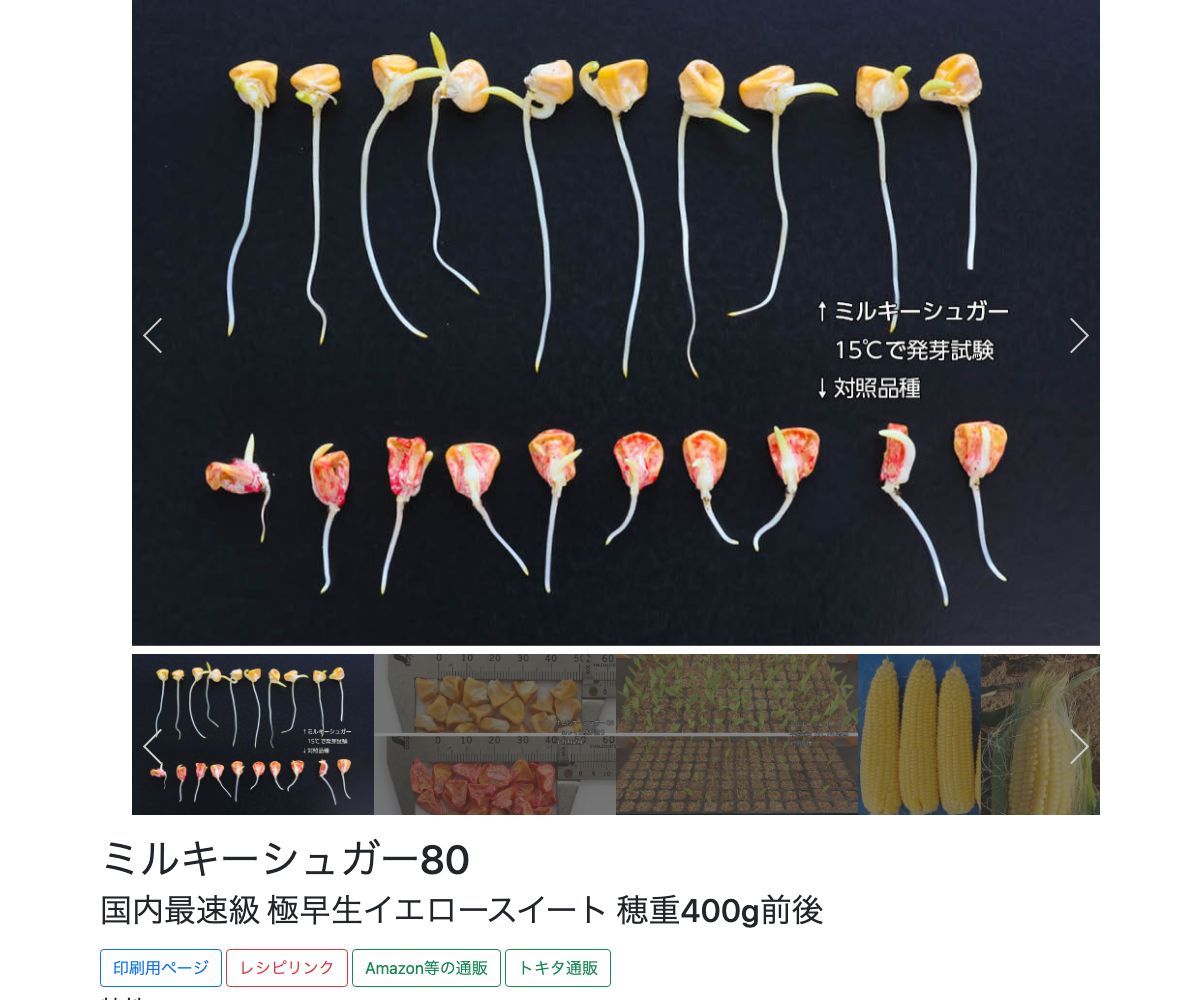 ミルキーシュガー80