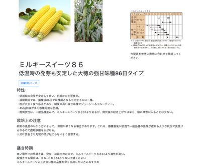 ミルキースイーツ８６の画像