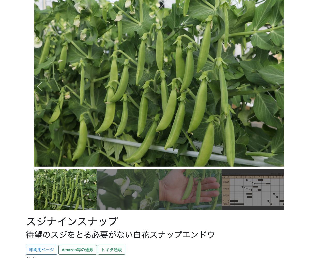 スジナインスナップ