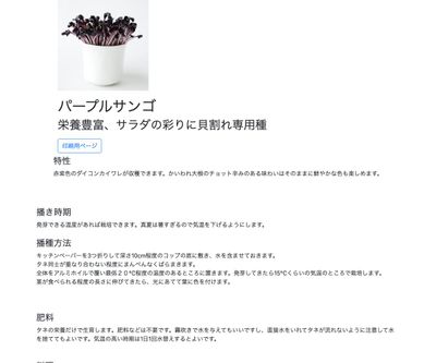 パープルサンゴの画像