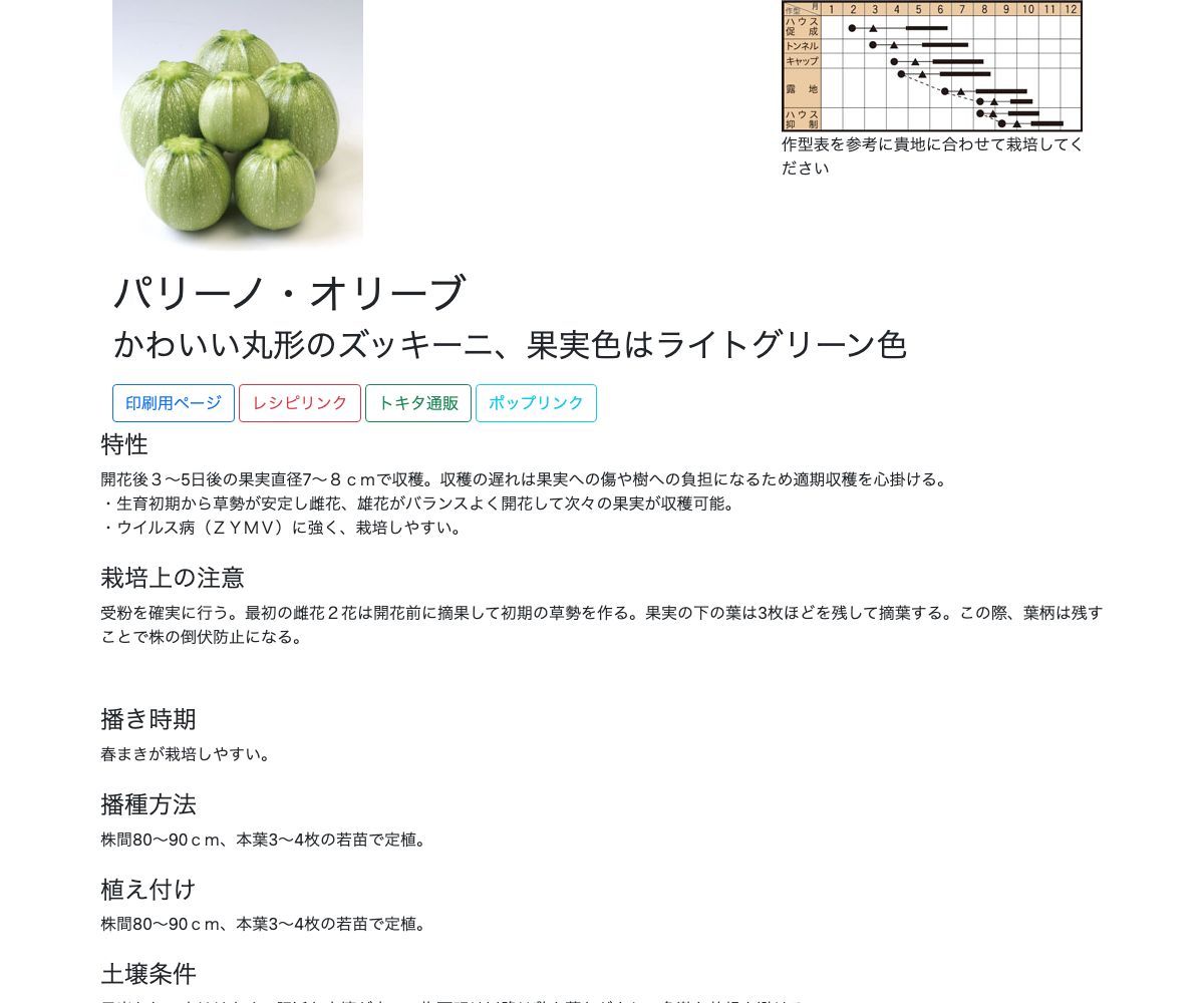 パリーノ・オリーブ