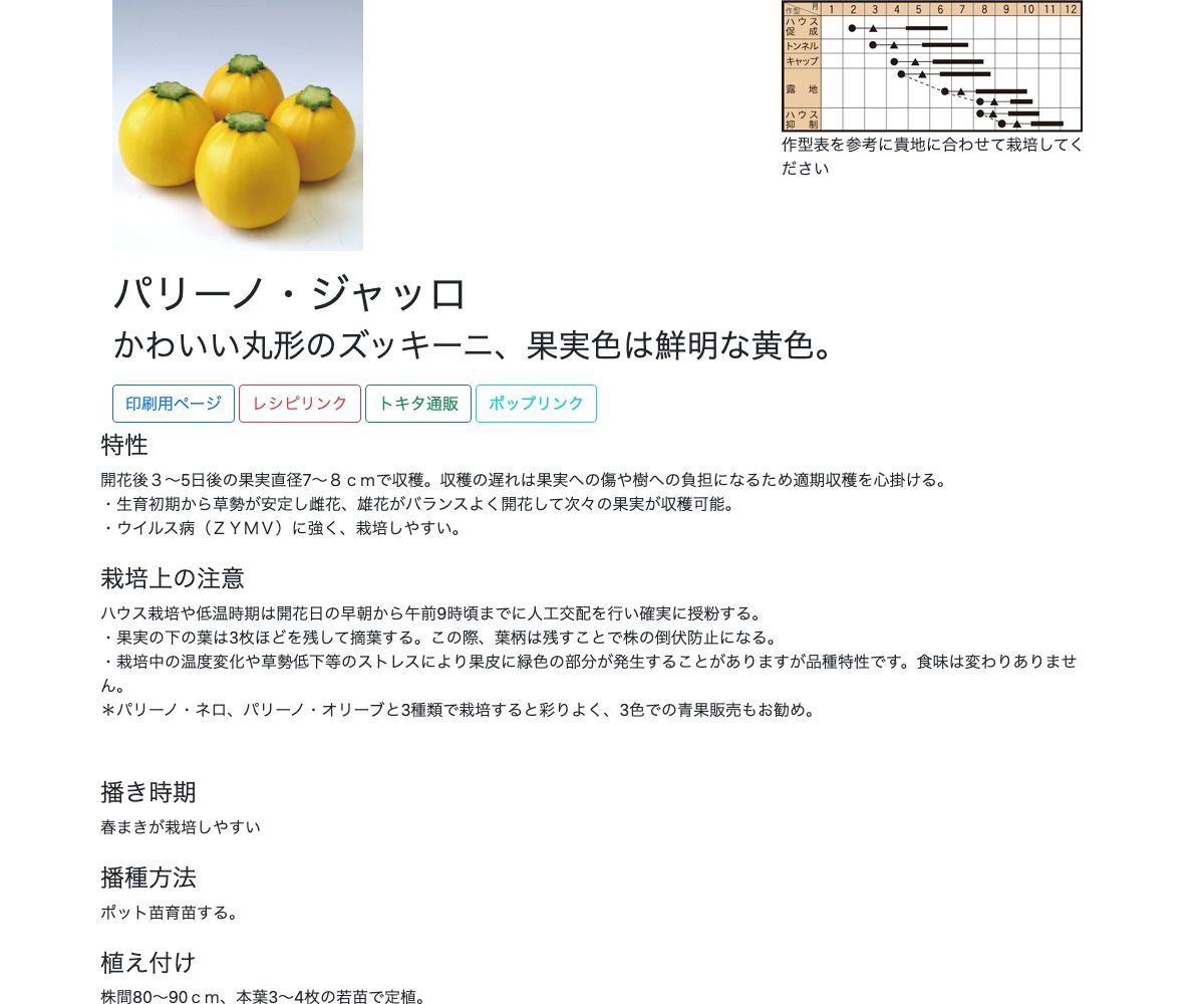 パリーノ・ジャッロ