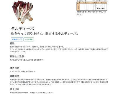 タルディーボの画像