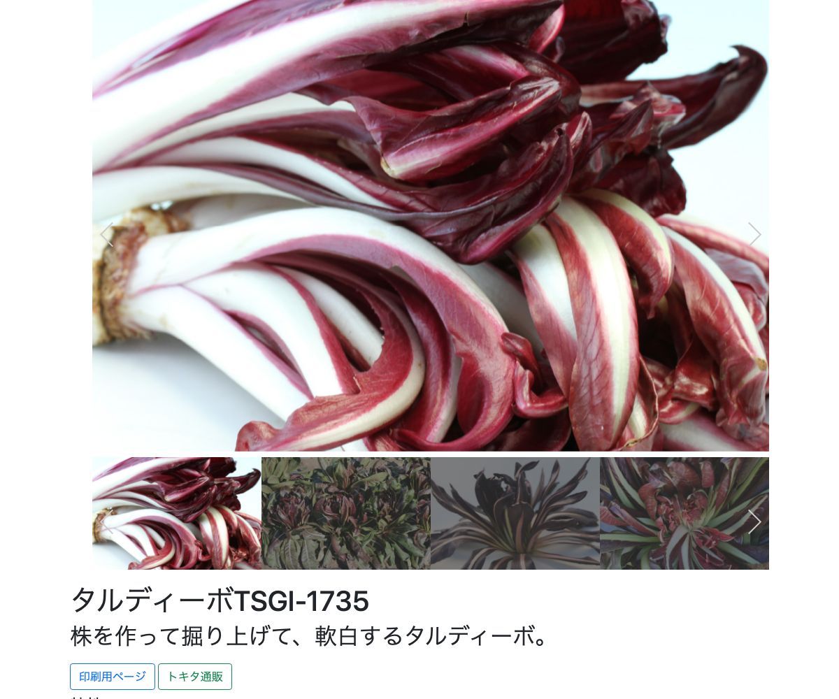 タルディーボTSGI-1735