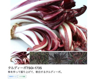 タルディーボTSGI-1735の画像