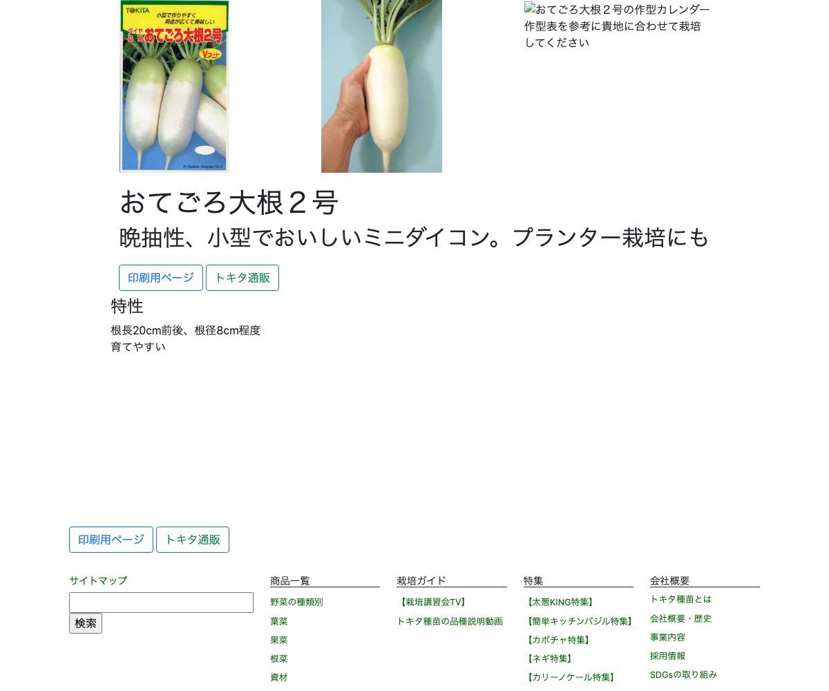 おてごろ大根２号