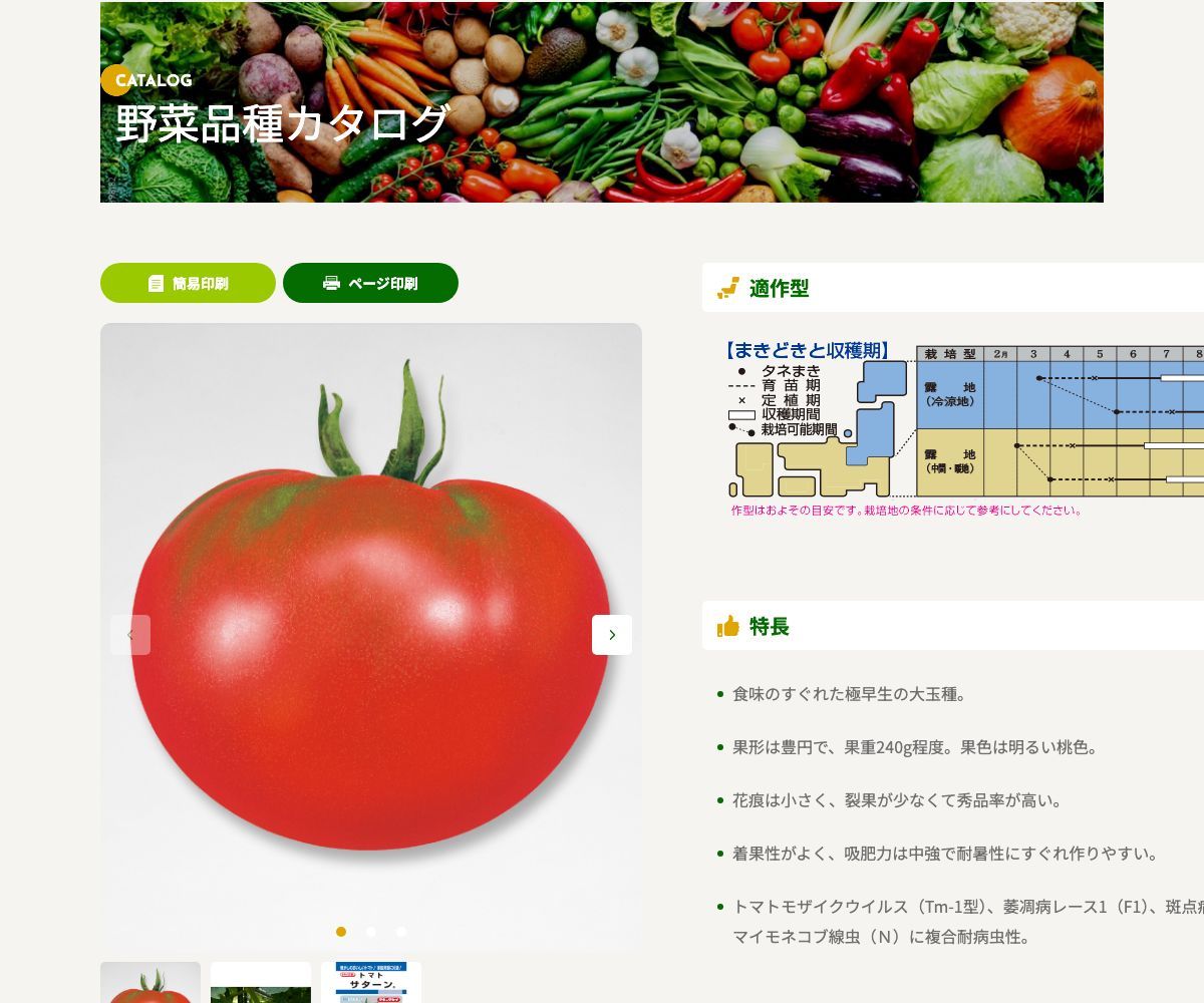サターン