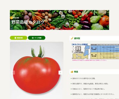 サターンの画像