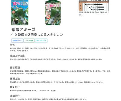 感激アミーゴの画像