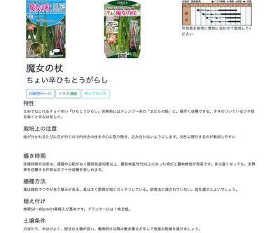 魔女の杖の画像