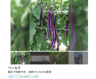 ペンなすの画像