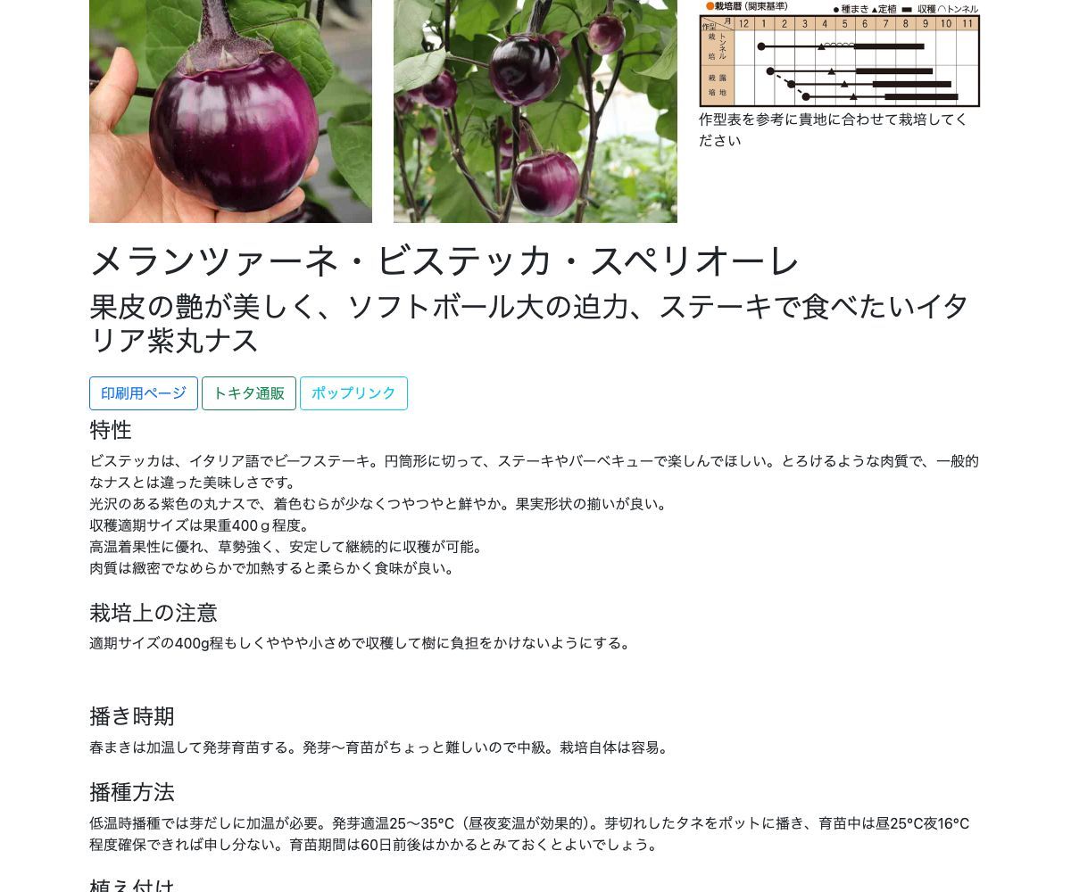 メランツァーネ・ビステッカ・スペリオーレ