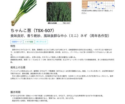 ちゃんこ葱（TSX-507）の画像