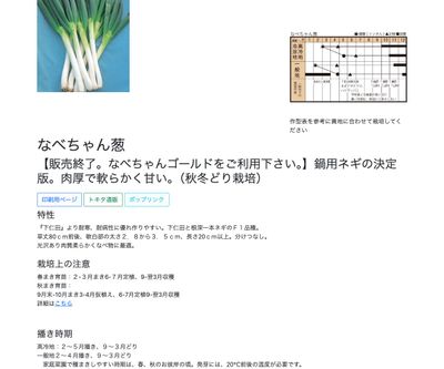 なべちゃん葱の画像