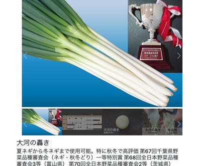 大河の轟きの画像