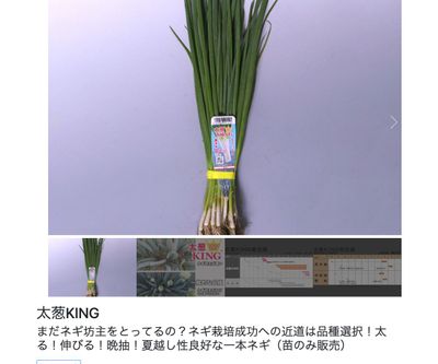 太葱KINGの画像