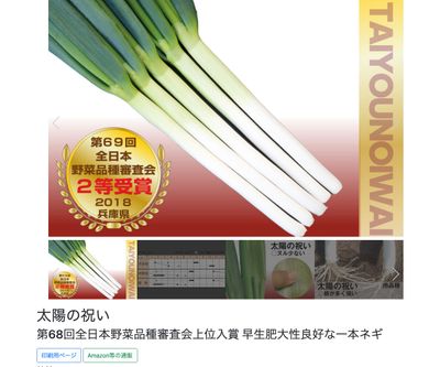 太陽の祝いの画像