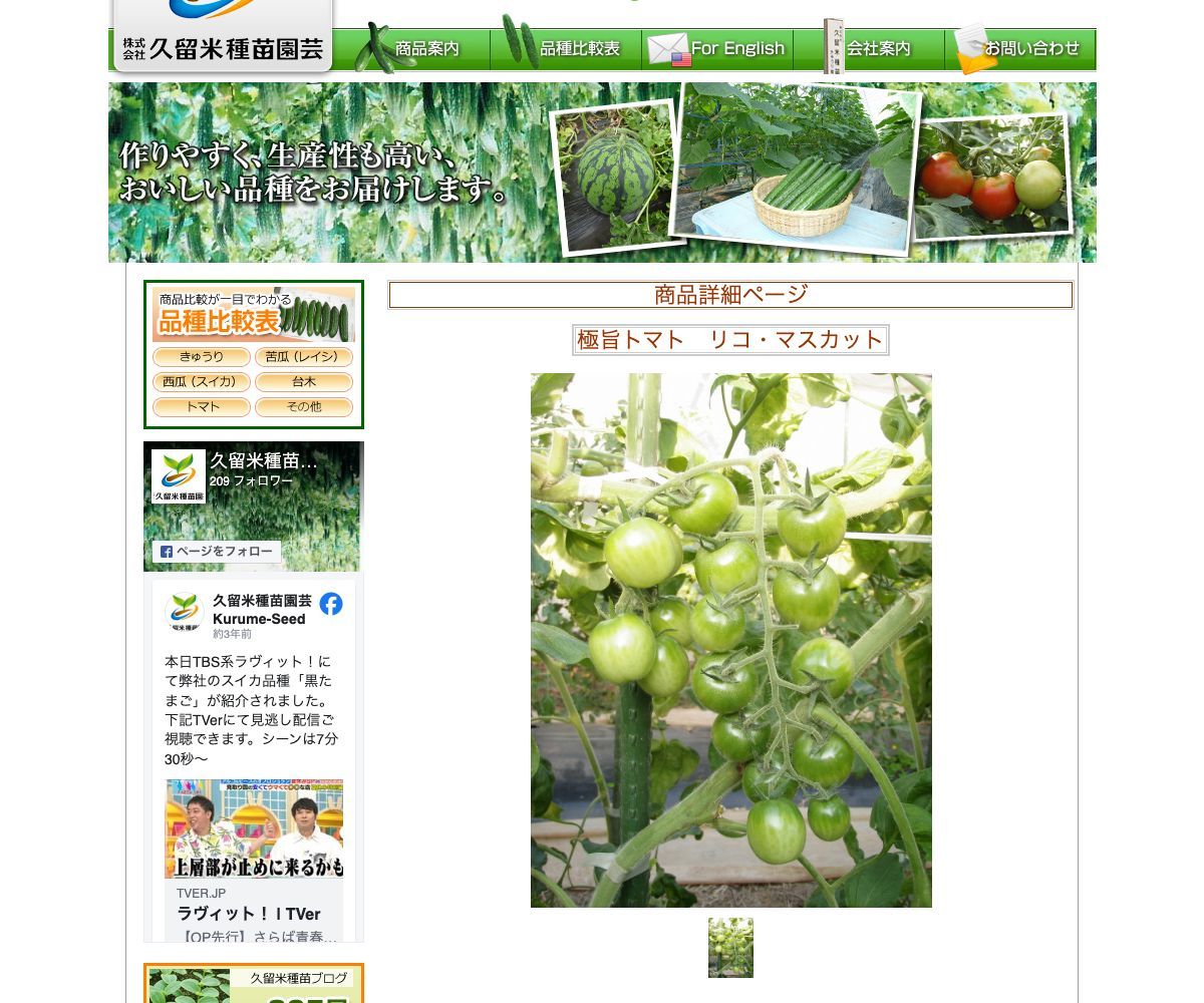 極旨トマト リコ・マスカット