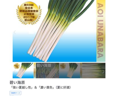 碧い海原の画像