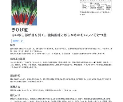 赤ひげ葱の画像