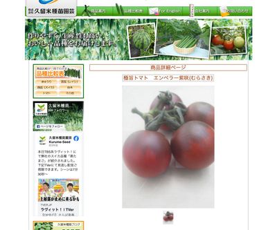 極旨トマト エンペラー紫咲(むらさき)の画像