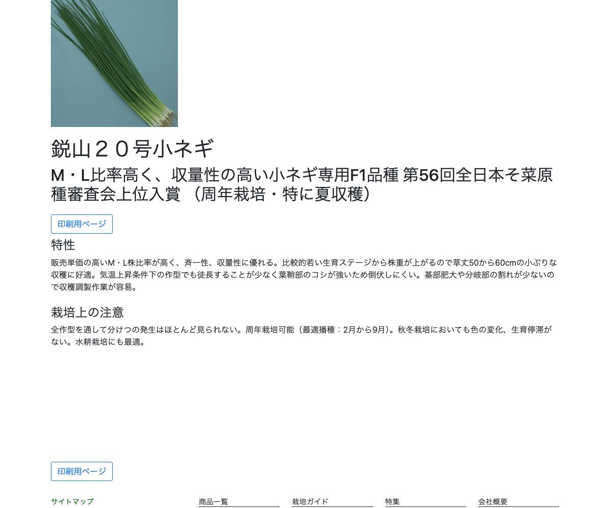 鋭山２０号小ネギ