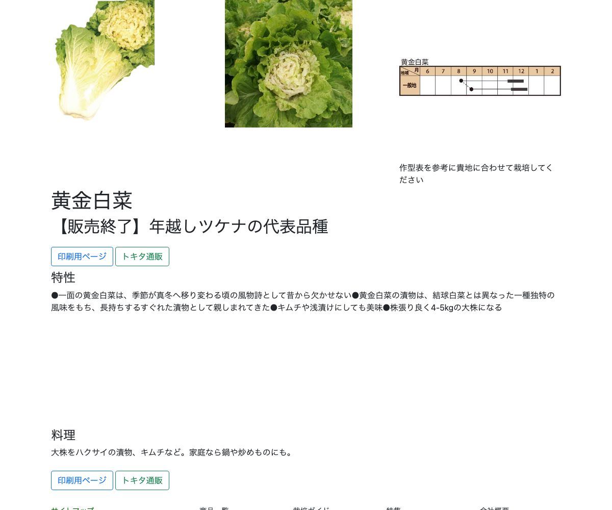 黄金白菜