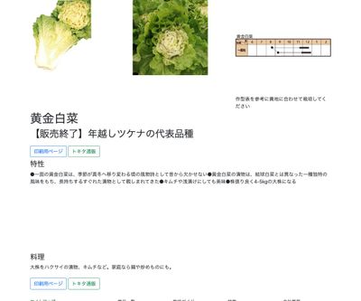 黄金白菜の画像