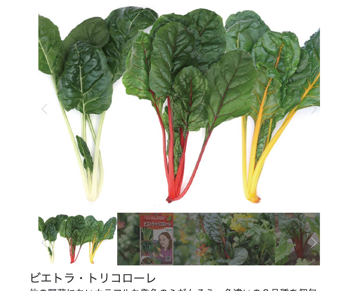 ビエトラ・トリコローレ