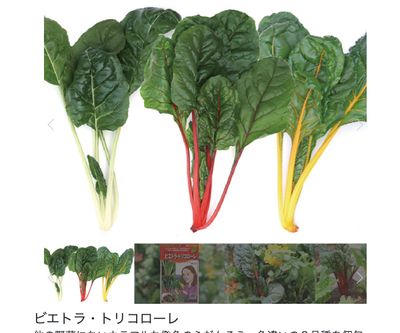 ビエトラ・トリコローレの画像