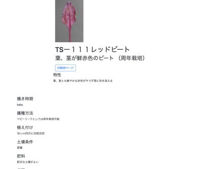 TSー１１１レッドビートの画像