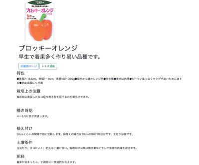 ブロッキーオレンジの画像