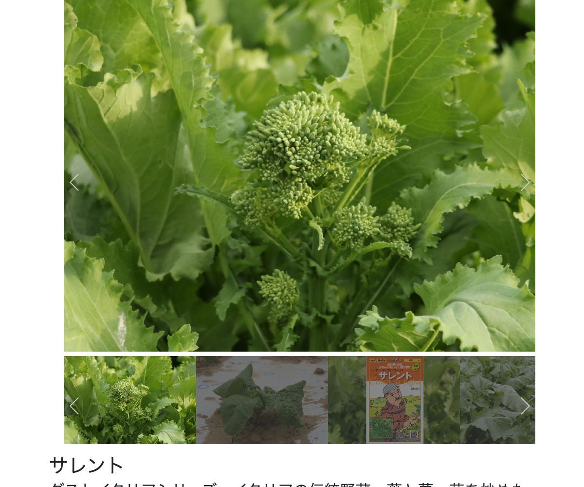 サレント