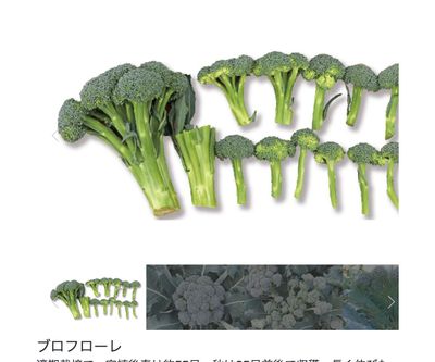 ブロフローレの画像