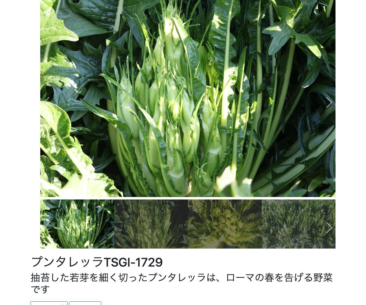 プンタレッラTSGI-1729