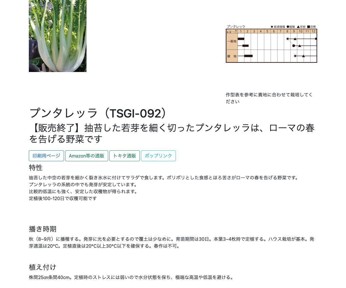 プンタレッラ（TSGI-092）