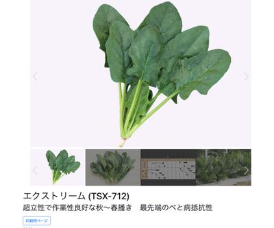 エクストリーム (TSX-712)の画像