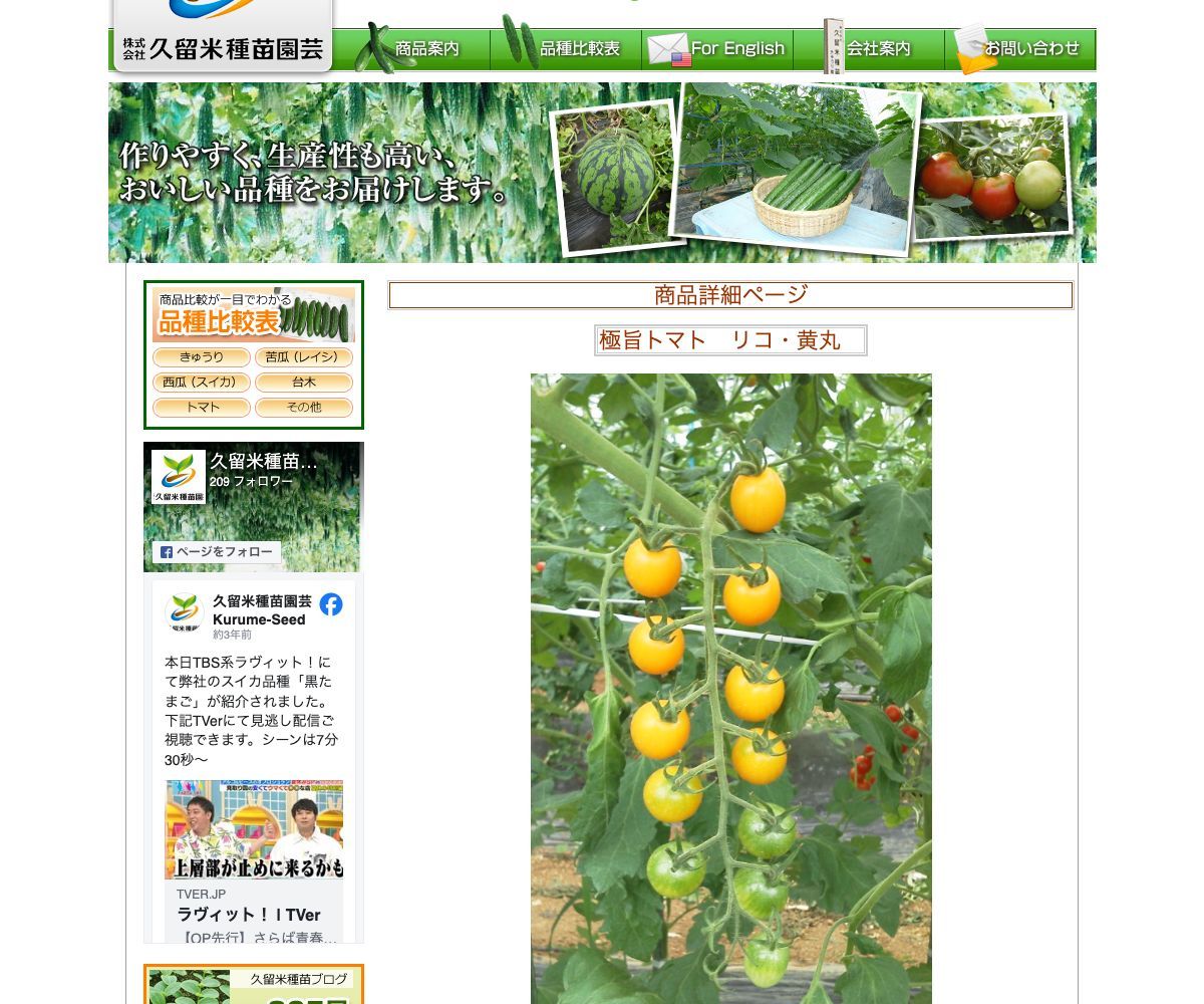 極旨トマト リコ・黄丸