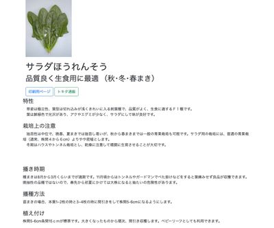 サラダほうれんそうの画像