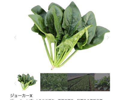 ジョーカーXの画像