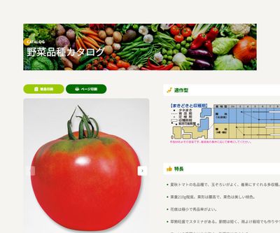 強力米寿の画像