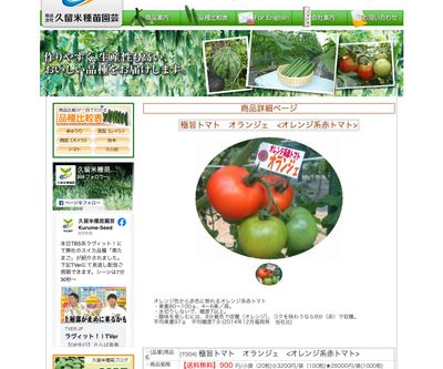 極旨トマト オランジェ <オレンジ系赤トマト>の画像