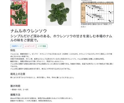 ナムルホウレンソウの画像