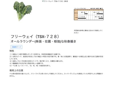 フリーウェイ（TSX-７２８）の画像