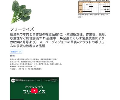 フリーライズの画像