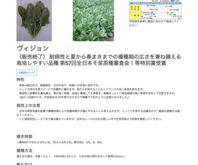 ヴィジョンの画像