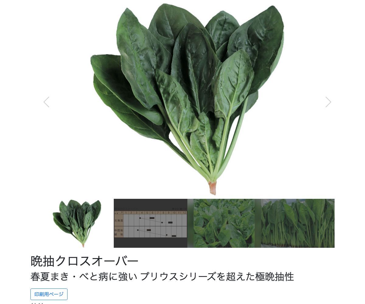 晩抽クロスオーバー