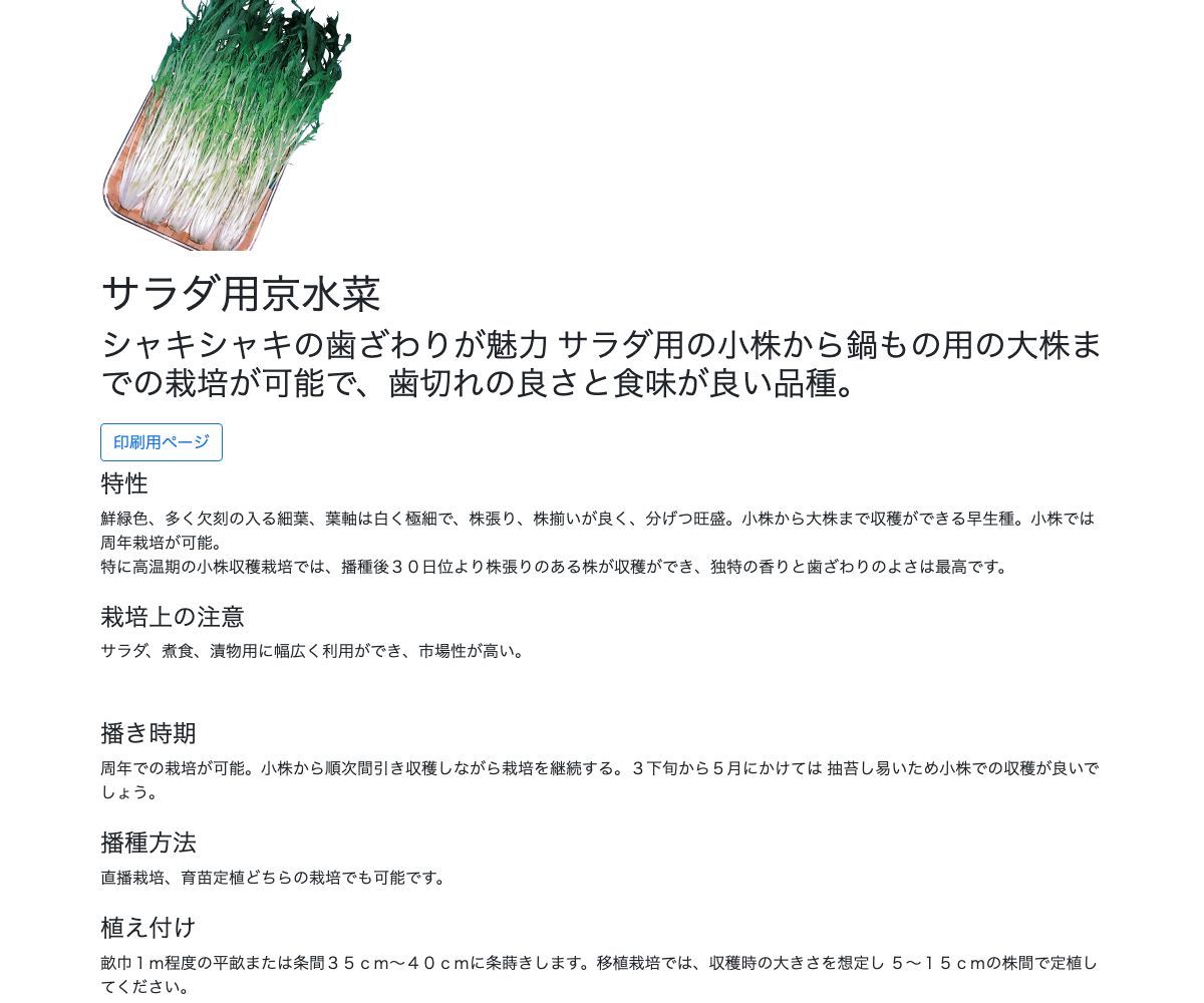 サラダ用京水菜