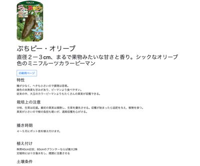 ぷちピー・オリーブの画像